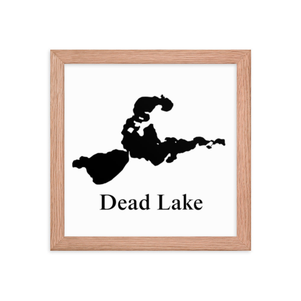 Dead Lake Framed poster