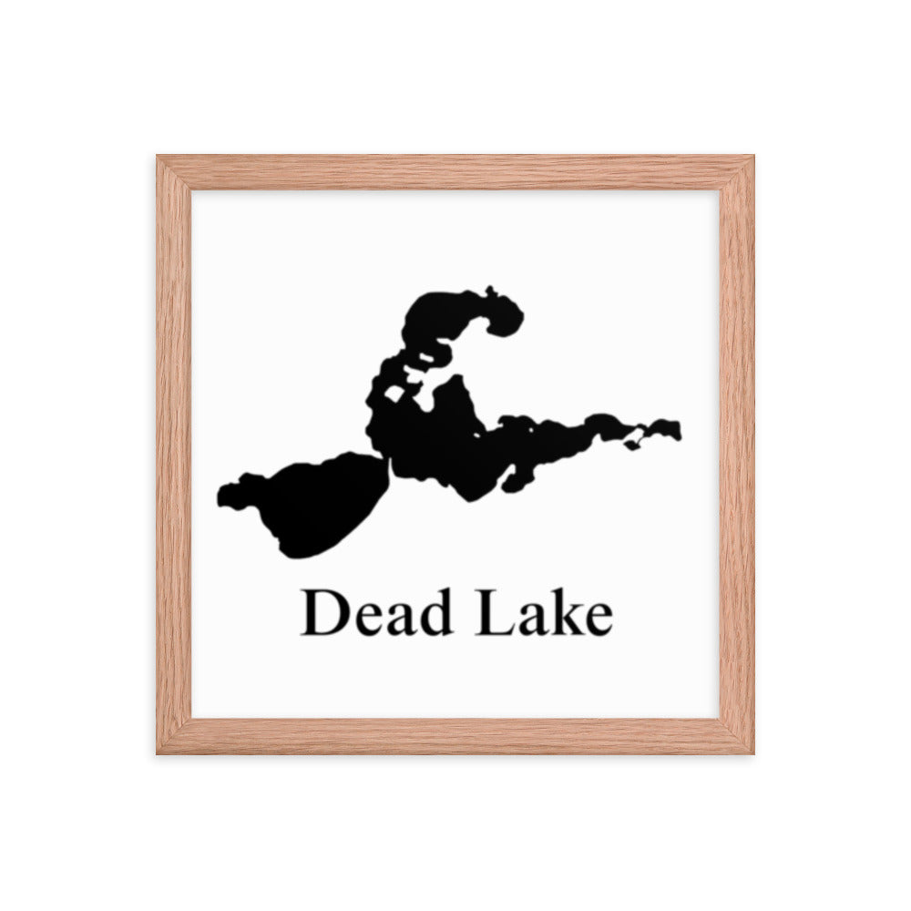 Dead Lake Framed poster