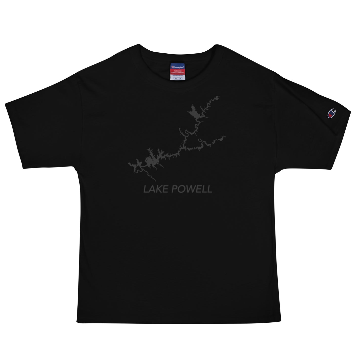Men's Champion T-Shirt Lake Powell