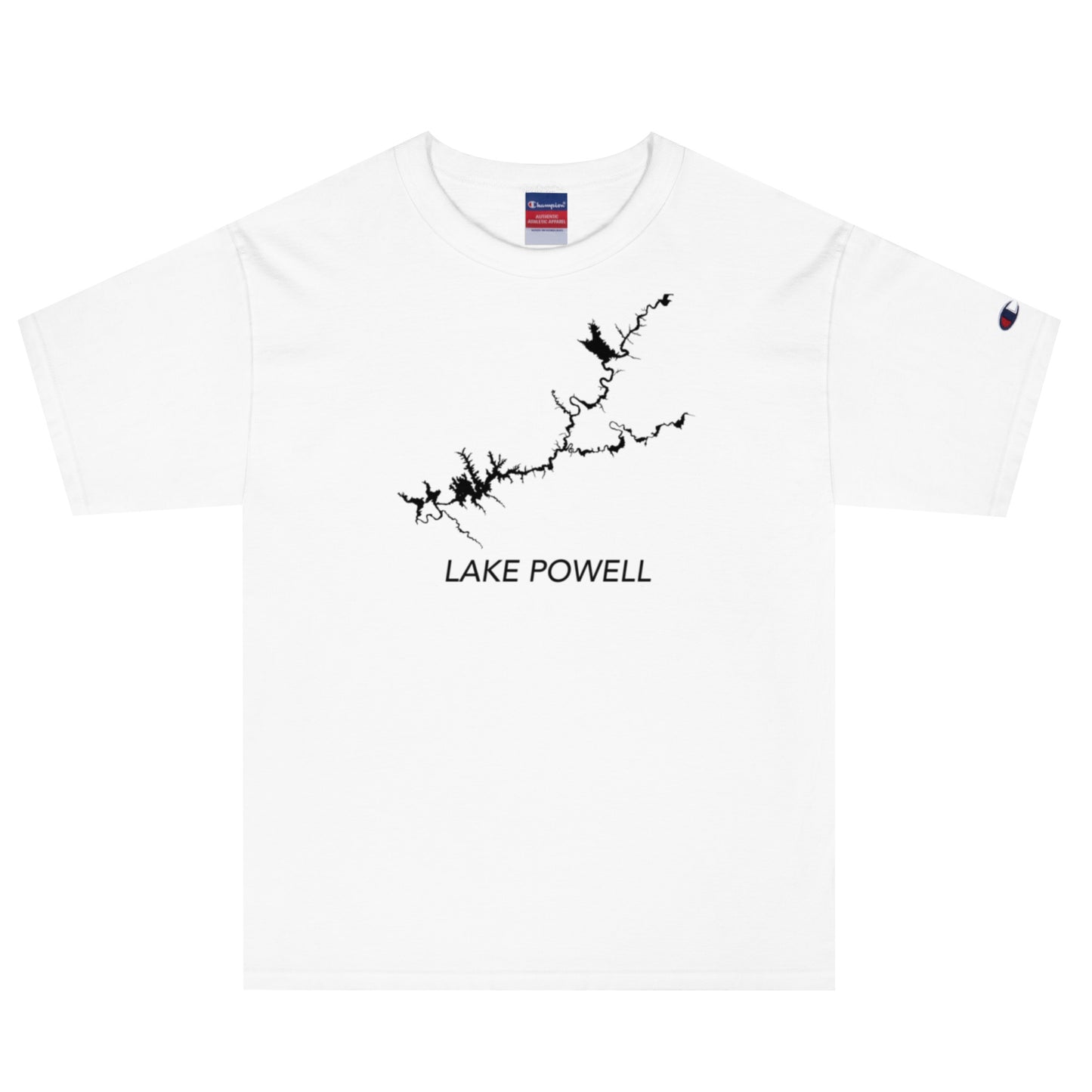 Men's Champion T-Shirt Lake Powell
