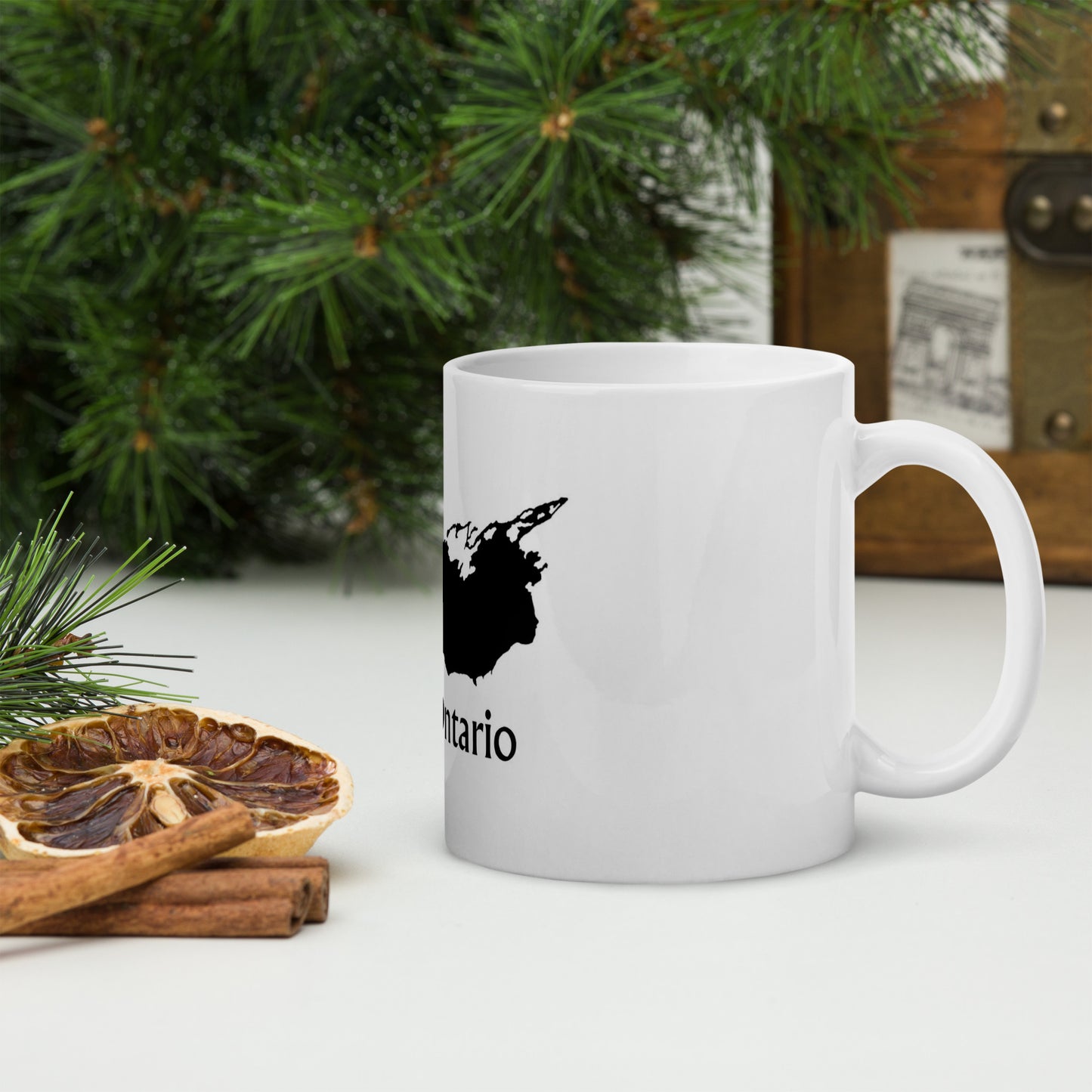 Lake Ontario mug