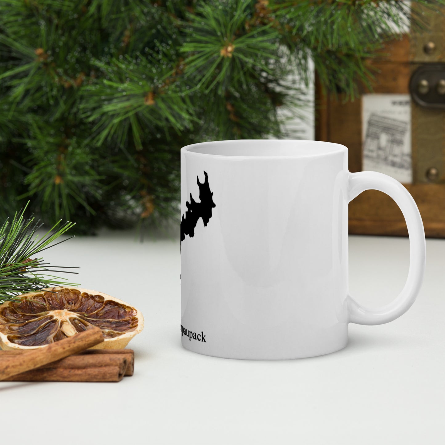 Lake Wallenpaupack mug