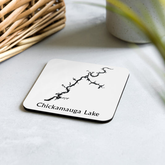 Chickamauga Lake coaster