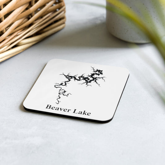 Beaver Lake coaster