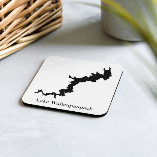 Lake Wallenpaupack coaster